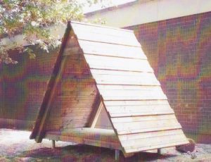 Kletterhaus